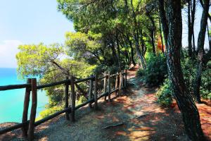 Ariadni Villa Sani Halkidiki Greece