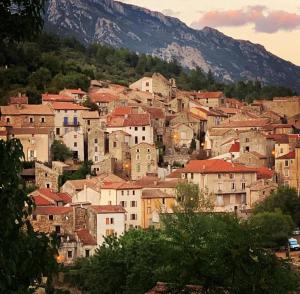 Hotels Ecole Olargues : photos des chambres