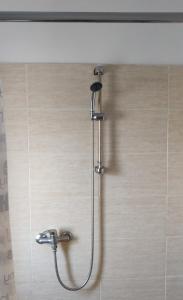 Sandor Apartment Calarasilor