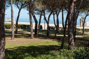 Appartements Argeles Plage : photos des chambres