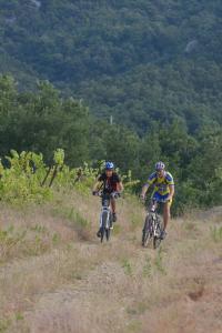 Campings Camping des Alberes : photos des chambres