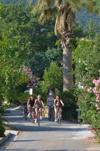 Campings Camping des Alberes : photos des chambres