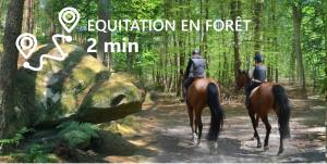 Lodges Kabaneo - gite et sauna- Samois sur Seine - Foret de Fontainebleau : photos des chambres