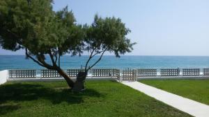 Amoutsa Seaside Villa