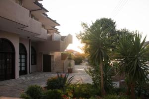 Palm Tree Apartments