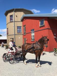 Pension Flyingehus Gårdshotell Flyinge Schweden