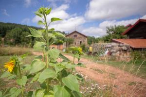 B&B / Chambres d'hotes Le Marconnes : photos des chambres