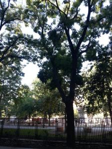 Sunny city apartment facing the park