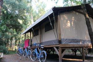 Campings Espace Blue Ocean : photos des chambres