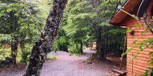 Lodge Palguin Alto - Palguín