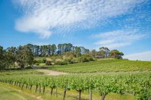McLaren Vale Getaways - The Range