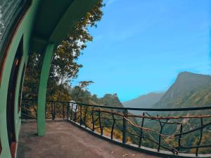 Ella Rock Mystery Guest