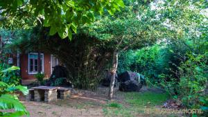 Pidurangala Hostel