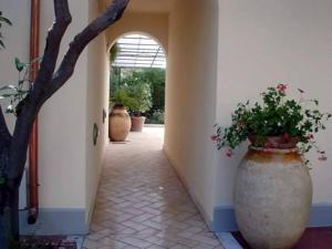 Locanda Conchiglia DOro