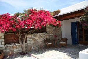 Cozy house close to the beach Naxos Greece