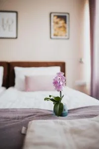 Villa Paula - 波兰尼卡-兹德鲁伊