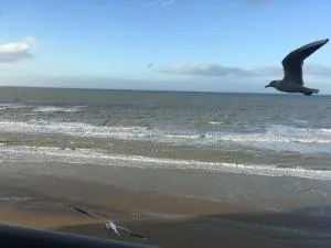 Entre dunes et mer - Zuydcoote