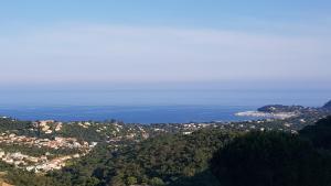 Maisons de vacances Villa Les Albizias : photos des chambres