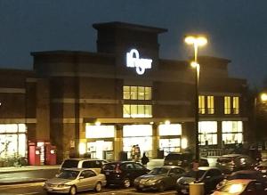 Short NorthOSU Pet Friendly!