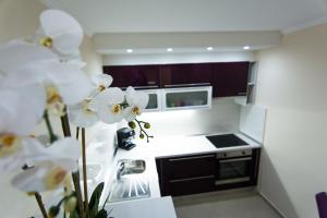 Apartment Songbird 