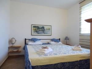 House Pygmy Cormorant