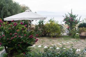 Captain Andrew private beach house Achaia Greece