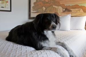 Expedition Lodge Moab Arches National Park