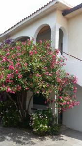 Casa degli Oleandri img19