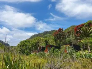 Punakaiki Beach Camp - 普纳凯基