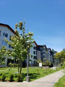 Sueños del Volcán - Pucón