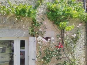 Maisons d'hotes gite le tilleul de la Fontaine : photos des chambres