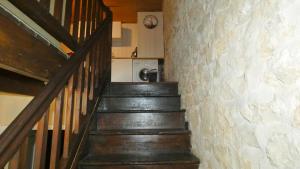 Les Roses Trémières