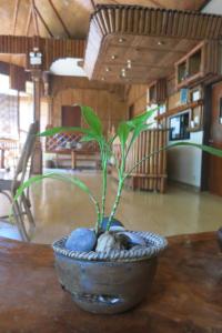 Pagdayon Travelers Inn