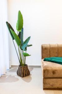 Stylish & Chic Flat - Best Place - New Building