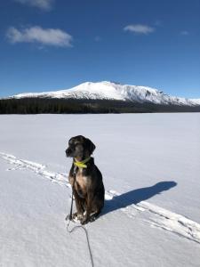 Vålågårdens Värdshus och Camping AB