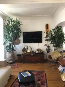 Appartements Appartement Centre Ville Bastia : photos des chambres