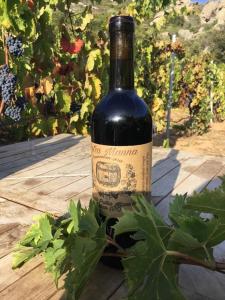 Tenuta Petra Manna img11