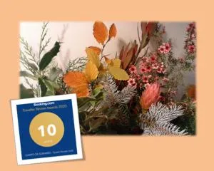 CAMPO DE SOBARBO - Guest House rural - Bustelo