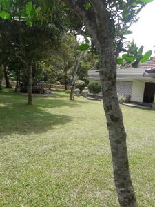 Sawanga Home Stay