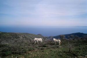 Kea Architect's villa Beyond Horizon Kea Greece