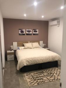 LA OLMA apartamentos