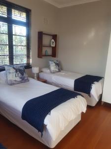 Turtle Creek - Leatherback