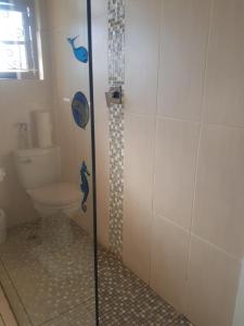 Turtle Creek - Leatherback