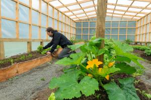 Andes Lodge, Puelo Patagonia