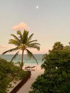 Libelula Tulum Beachfront Hotel - 蓬·艾伦