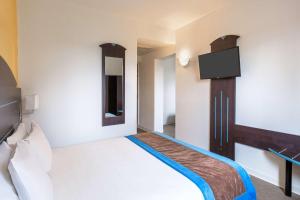 Hotels Sure Hotel by Best Western Saint-Amand-Les-Eaux : Chambre Lit Queen-Size Familiale avec 2 Lits Simples