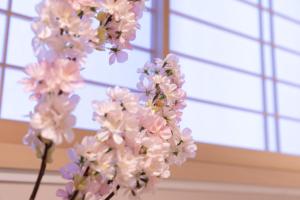 Sakura Stay Otorii
