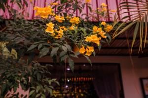 View, The Sanctuary Villa Battambang in Battambang