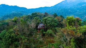 The Hillock resorts- Quiet by the Mountains, Alloggi in famiglia - Vallikavungal