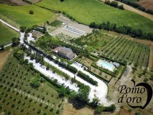 Agriturismo Pomod’oro - مونتيغرانارو